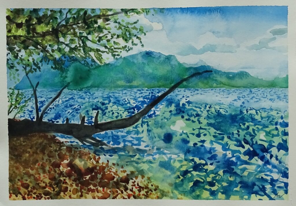 Aquarellbild: Blick über den Traunsee, von Unterm Stein aus