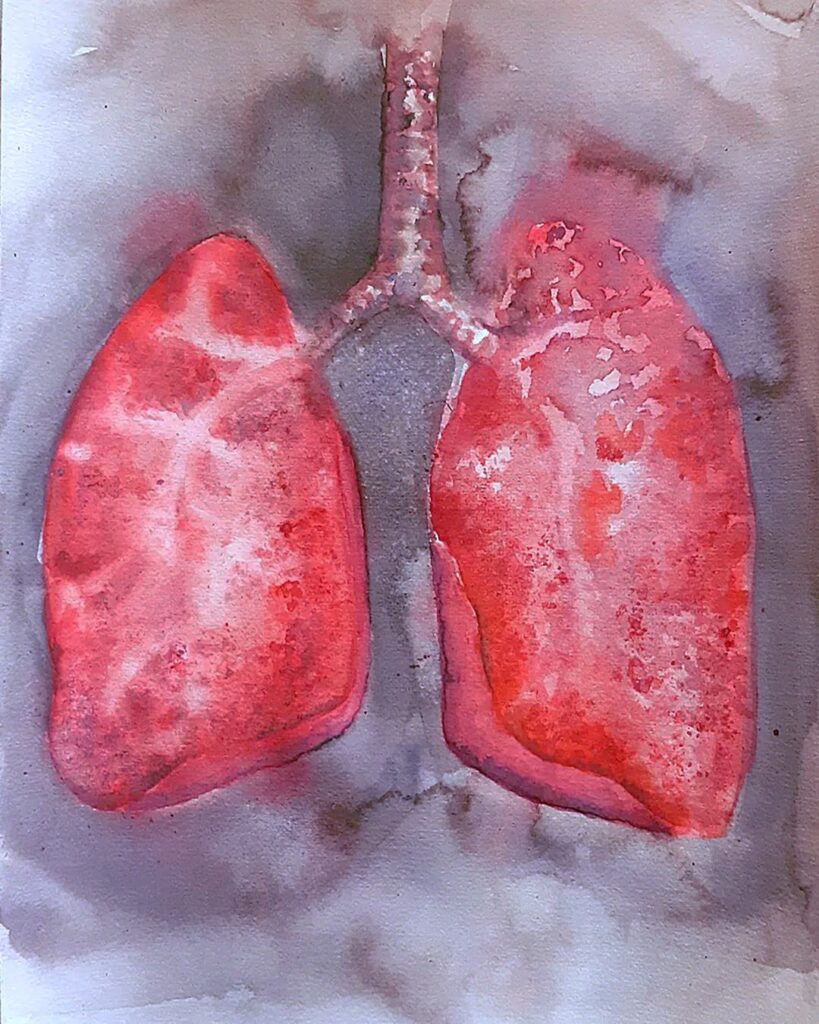 anatomische Studie: Aquarellbild einer menschlichen Lunge, abstrakter Hintergrund