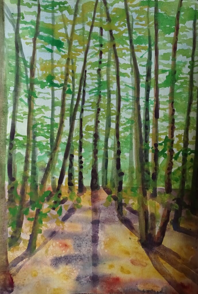 Aquarellskizze der Forstheide Amstetten, Bäume im Gegenlicht