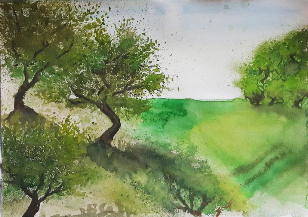 Aquarellskizze von Olivenbäumen auf Kreta