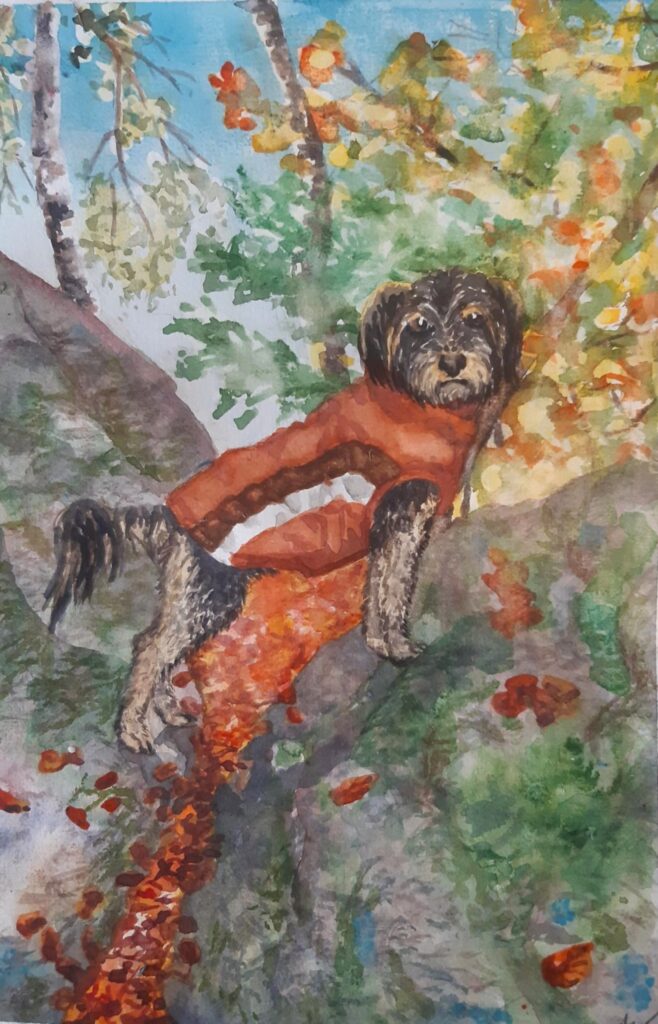 Aquarellbild: Tierportrait eines kleinen Hundes namens "Chilli". Er steht auf zwei Felsen und trägt einen dicke Hundejacke. Im Hintergrund herbstlicher Wald und Laub am Boden