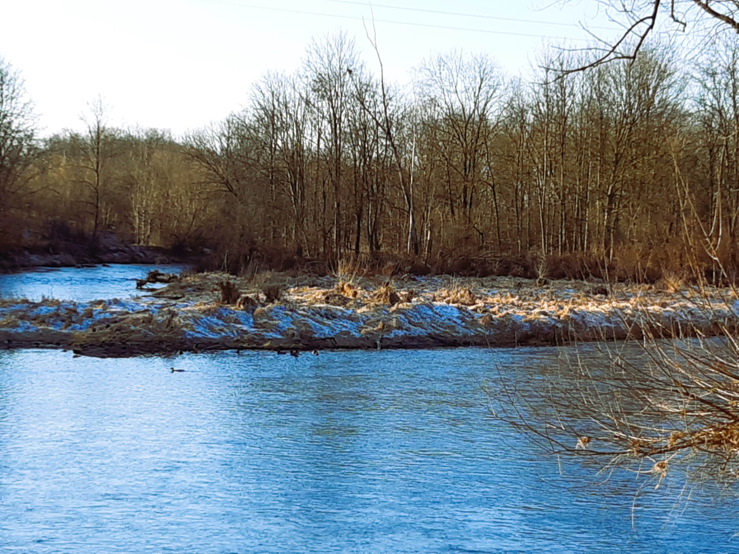 Fotovorlage für die Flusslandschaft (Ybbs bei Amstetten)